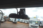 フォワード 4.75t 増トン ワイドベッド付 低温冷凍車 格納ゲート付 Rエアサス 240ps