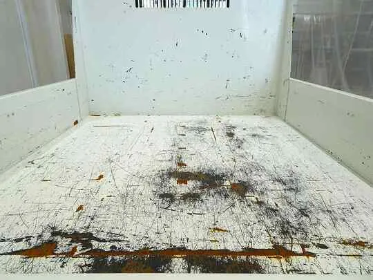 エルフ 1.75t FFL 標準 Wキャブ/標準ダンプ 総重量5t未満